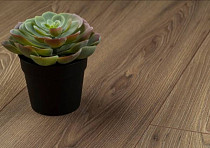 Kronopol Platinium Milo d3712 Орех Афина фото 2 | FLOORDEALER